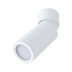 Lámpara LED de techo Paulmann Turnal Coin, blanca, metal, 2700 K
