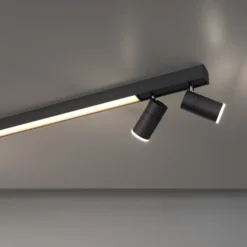 Lámpara LED de techo PURE Lines, 120 cm, antracita, control remoto