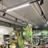 Lámpara LED para riel LINEAR PRO negra 930 60 cm trifásica DALI