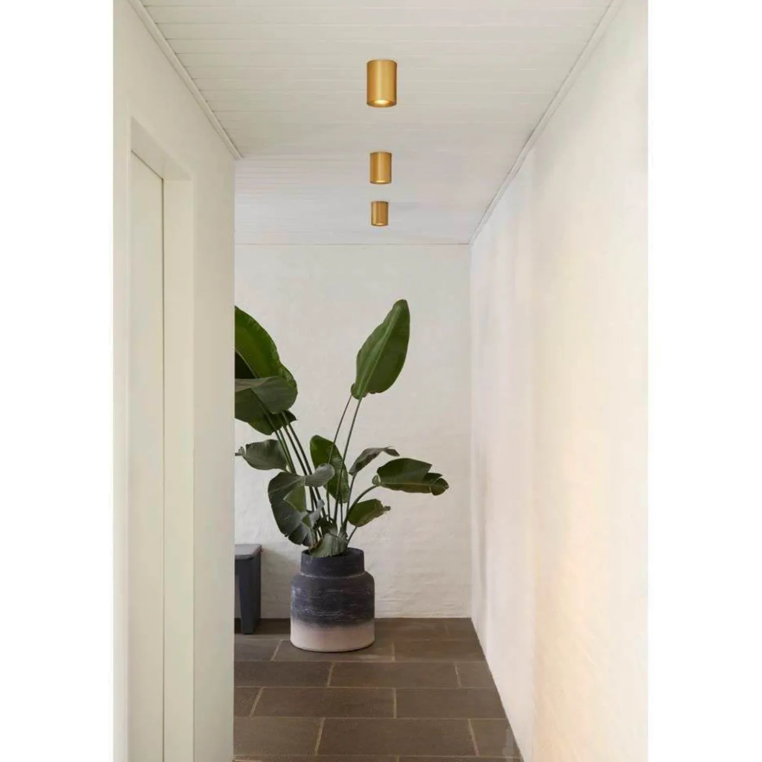 LOOM DESIGN plafón LED Nyx, latón, IP54