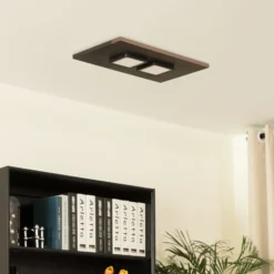 Lucande Esteria plafón, 2 luces