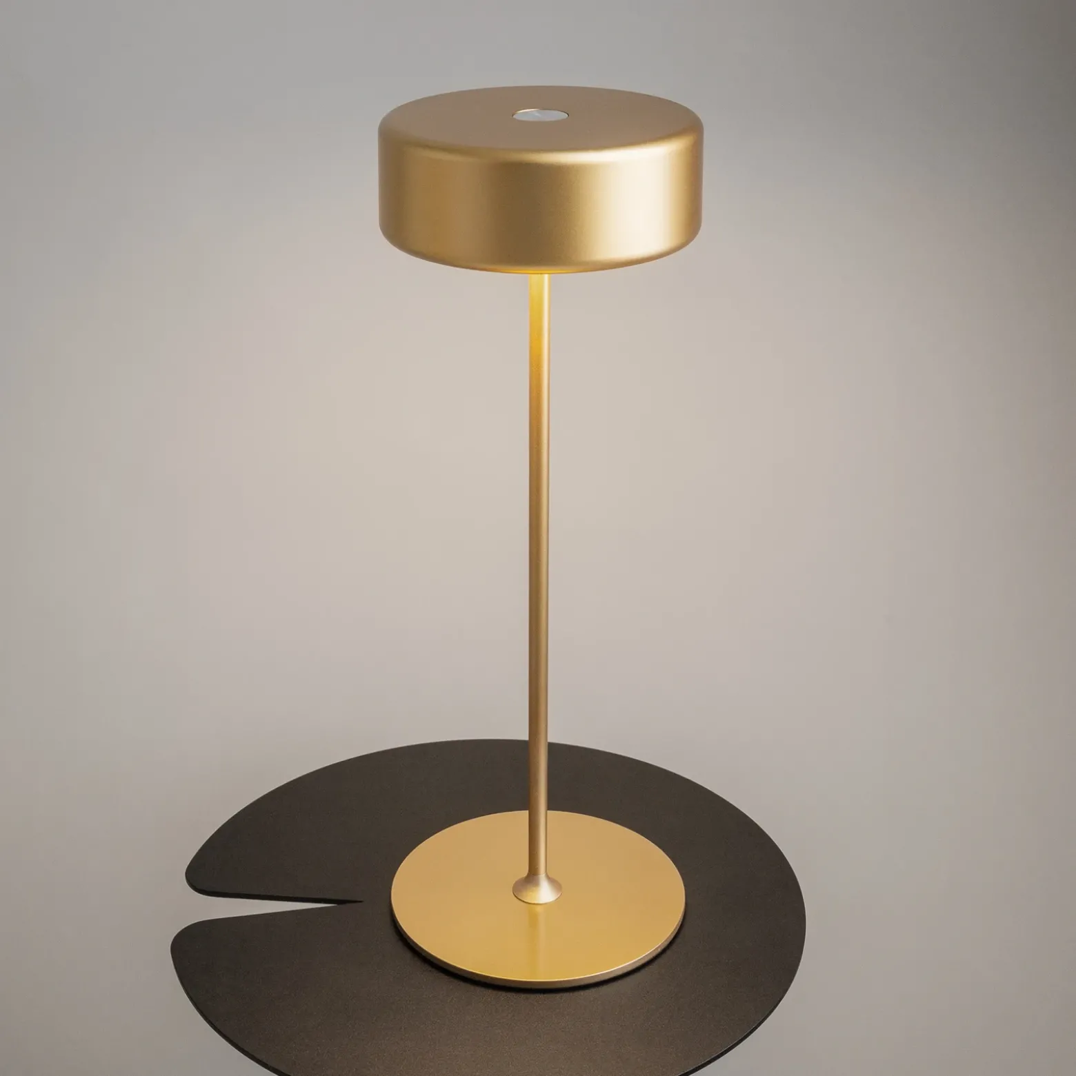 Maytoni Lámpara de mesa LED recargable AI Collaboration, aluminio, dorado