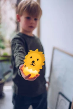 Mr Maria Lion nocturna Bundle of Light, 12,6 cm