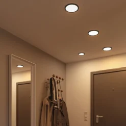Paulmann Areo panel LED redondo negro 3000K Ø17,5cm