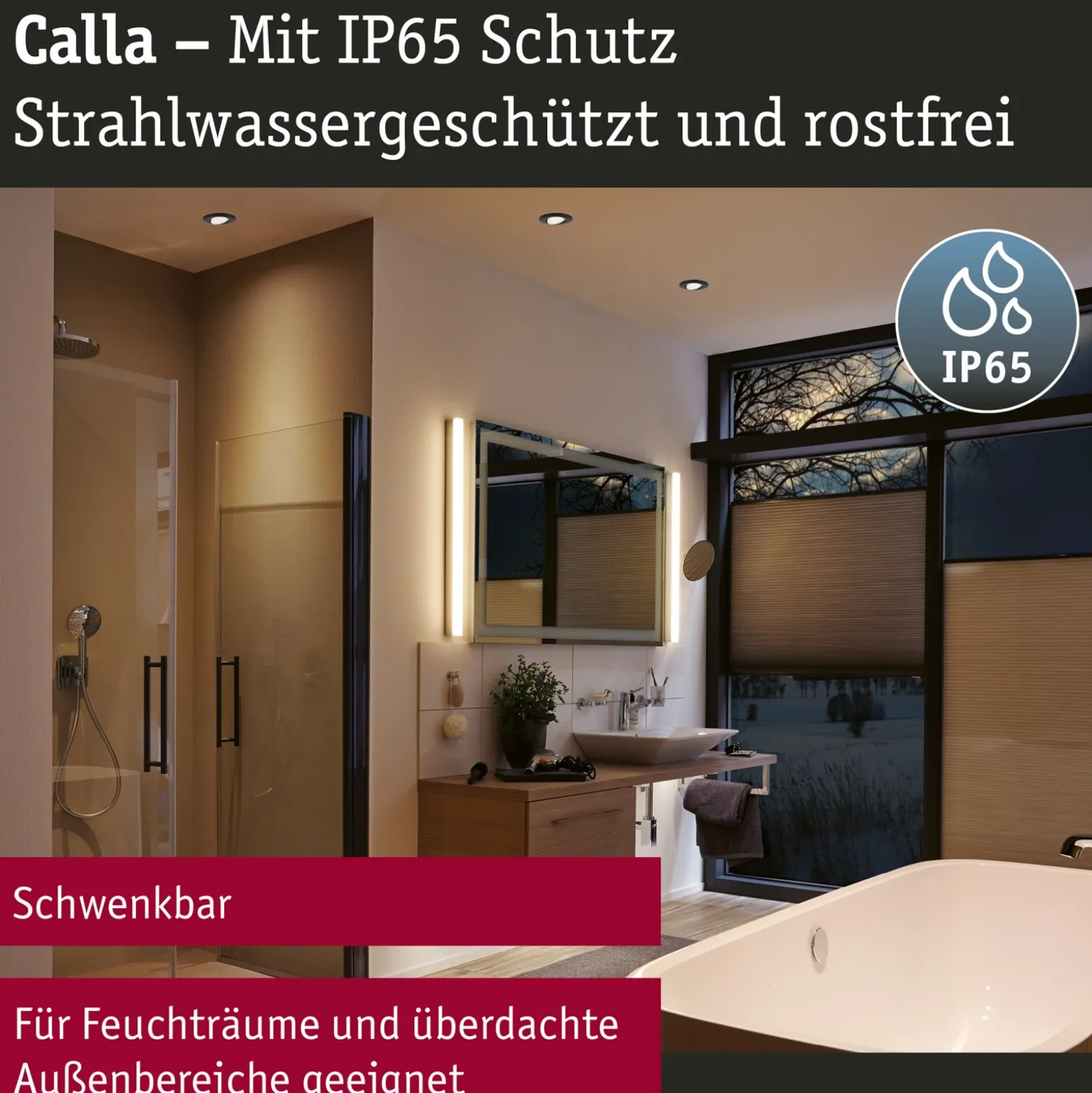 Paulmann Calla negro, con interruptor de encendido/apagado, orientable, 4000 K,
