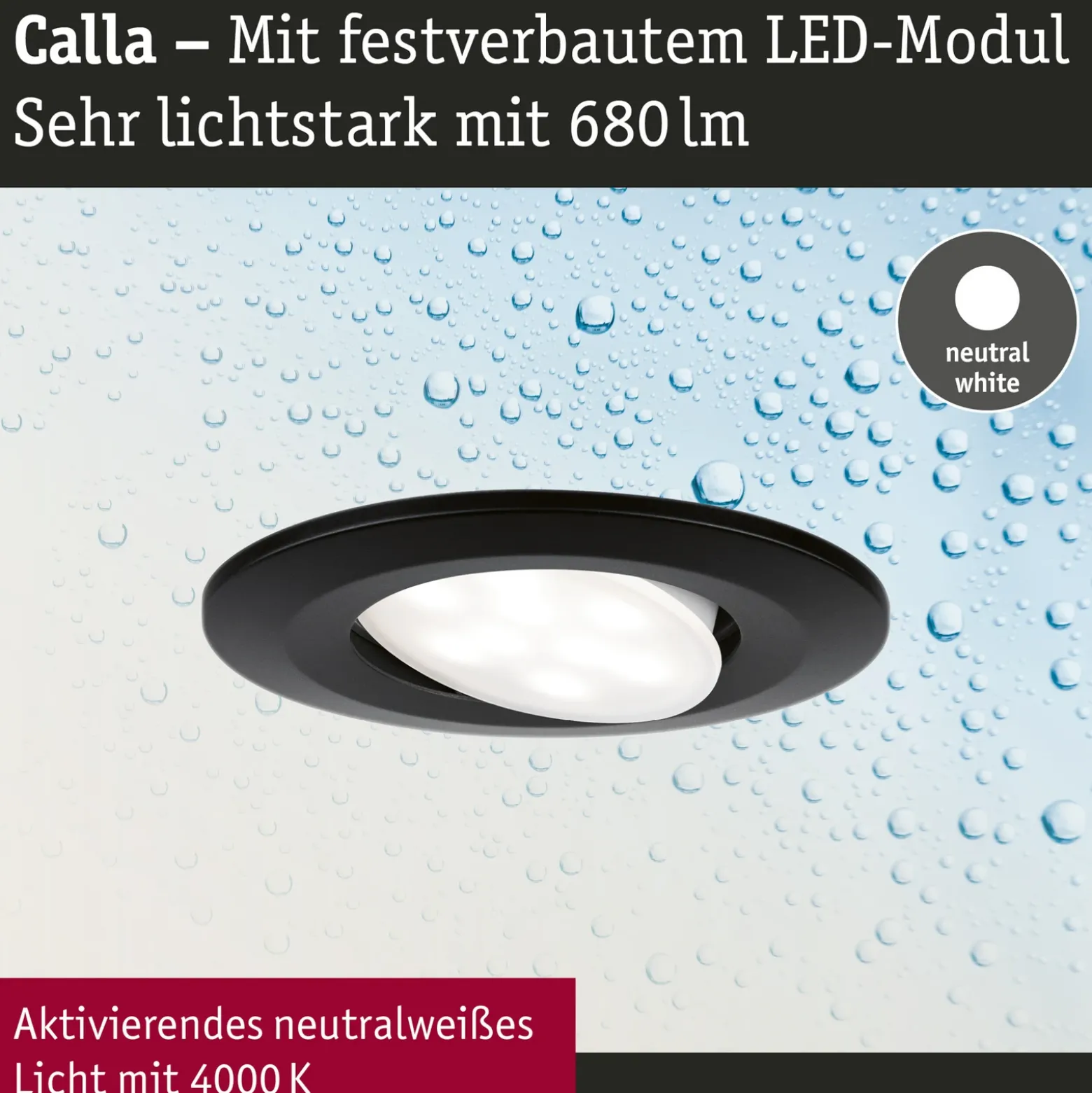 Paulmann Calla negro, con interruptor de encendido/apagado, orientable, 4000 K,