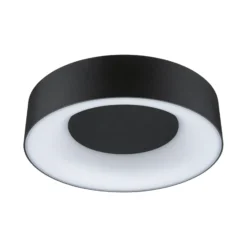 Paulmann HomeSpa Casca plafón Ø30cm negro
