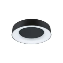 Paulmann HomeSpa Casca plafón Ø40cm negro