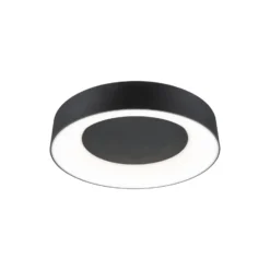 Paulmann HomeSpa Casca plafón Ø40cm negro