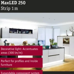 Paulmann MaxLED 250 tira IP44 luz diurna 1m