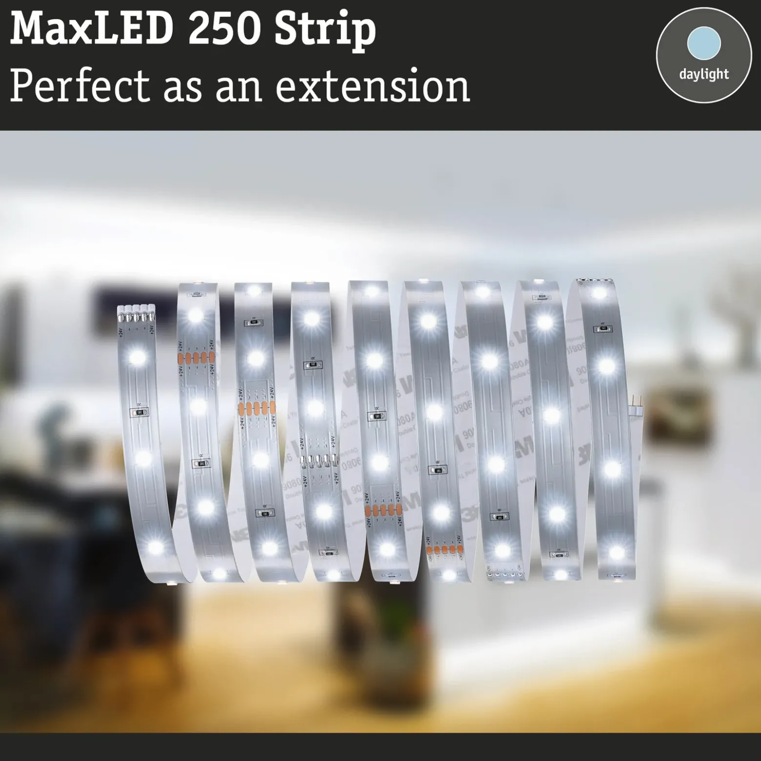 Paulmann MaxLED 250 tira IP20 luz diurna 2,5m