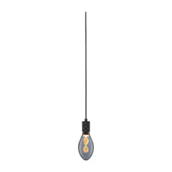Paulmann Neordic Tilla colgante enchufe negro