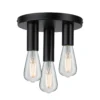 Paulmann Skogen lámpara de techo negro 3 luces