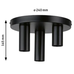 Paulmann Skogen lámpara de techo negro 3 luces