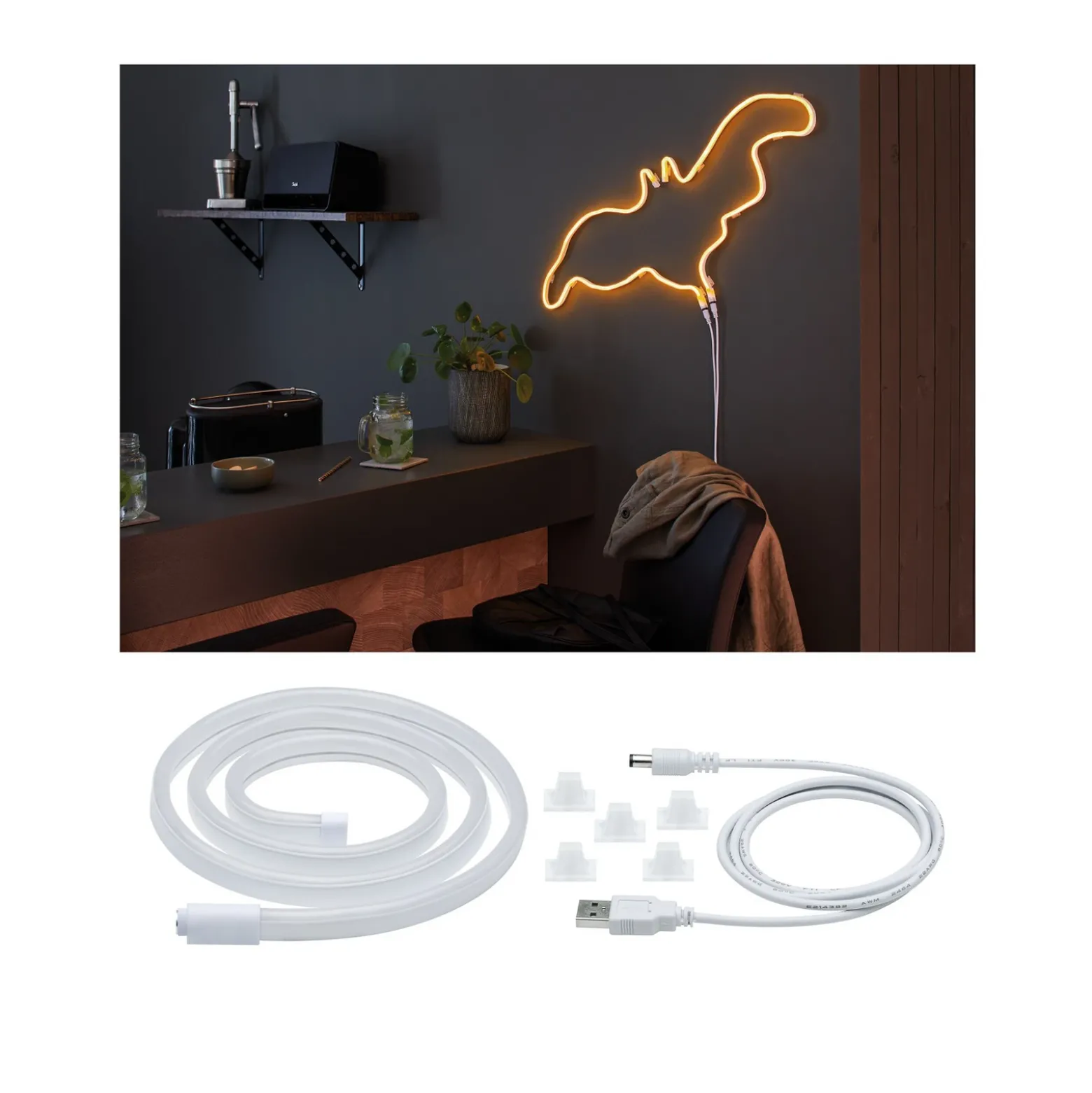 Paulmann tira LED Neon Colorflex USB 1 m naranja