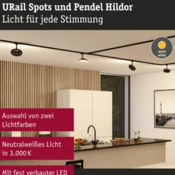 Paulmann URail Hildor foco LED negro 3.000K