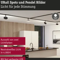 Paulmann URail Hildor foco LED negro 4.000K