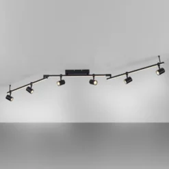 Paul Neuhaus Downlight LED Barik, 188 cm, regulable
