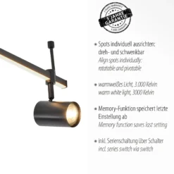 Paul Neuhaus Downlight LED Barik, 188 cm, regulable