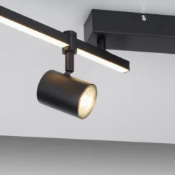 Paul Neuhaus Downlight LED Barik, 120 cm, regulable