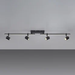 Paul Neuhaus Downlight LED Barik, 120 cm, regulable