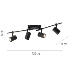 Paul Neuhaus Downlight LED Barik, 120 cm, regulable