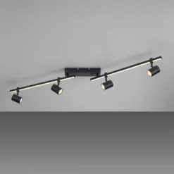 Paul Neuhaus Downlight LED Barik, 120 cm, regulable