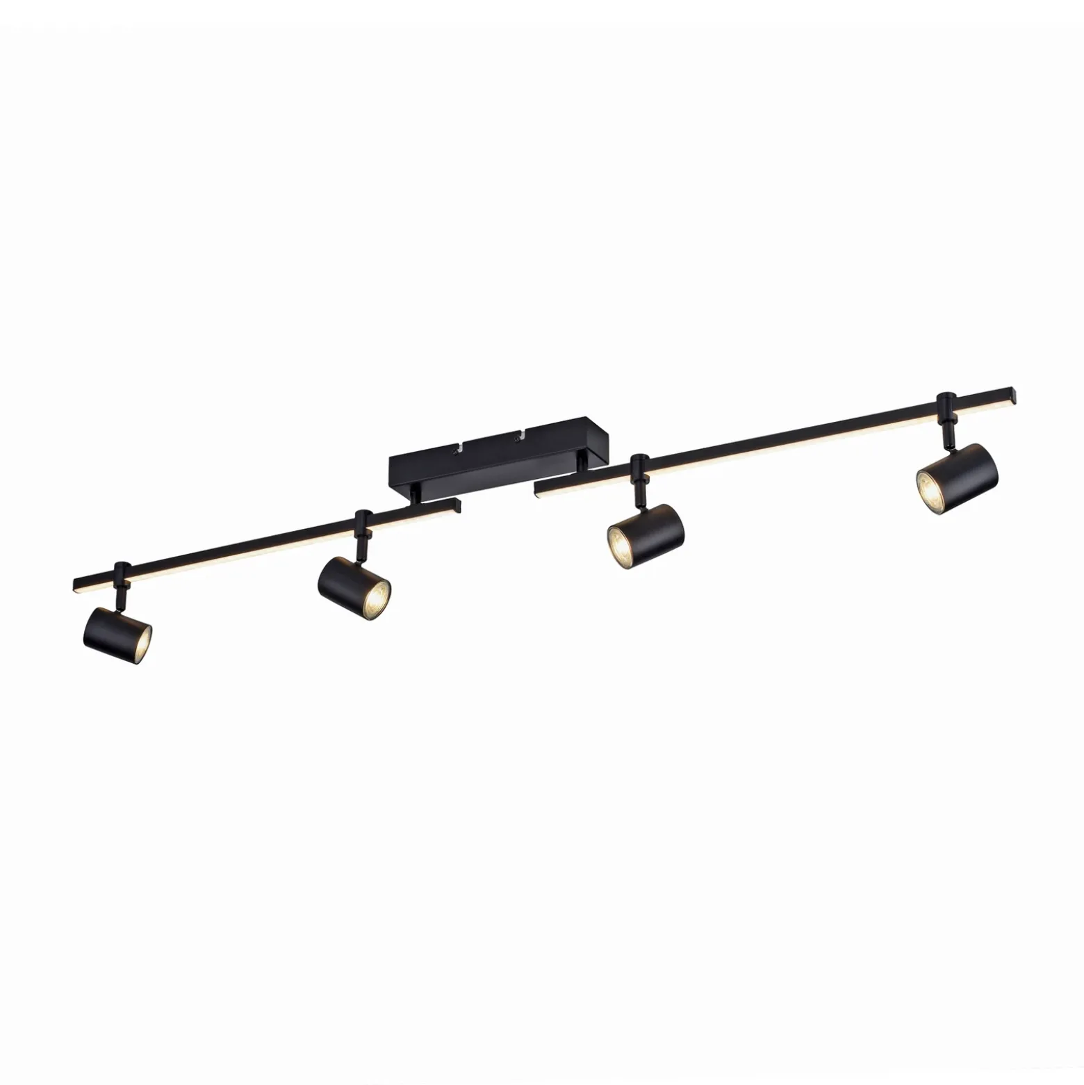 Paul Neuhaus Downlight LED Barik, 120 cm, regulable