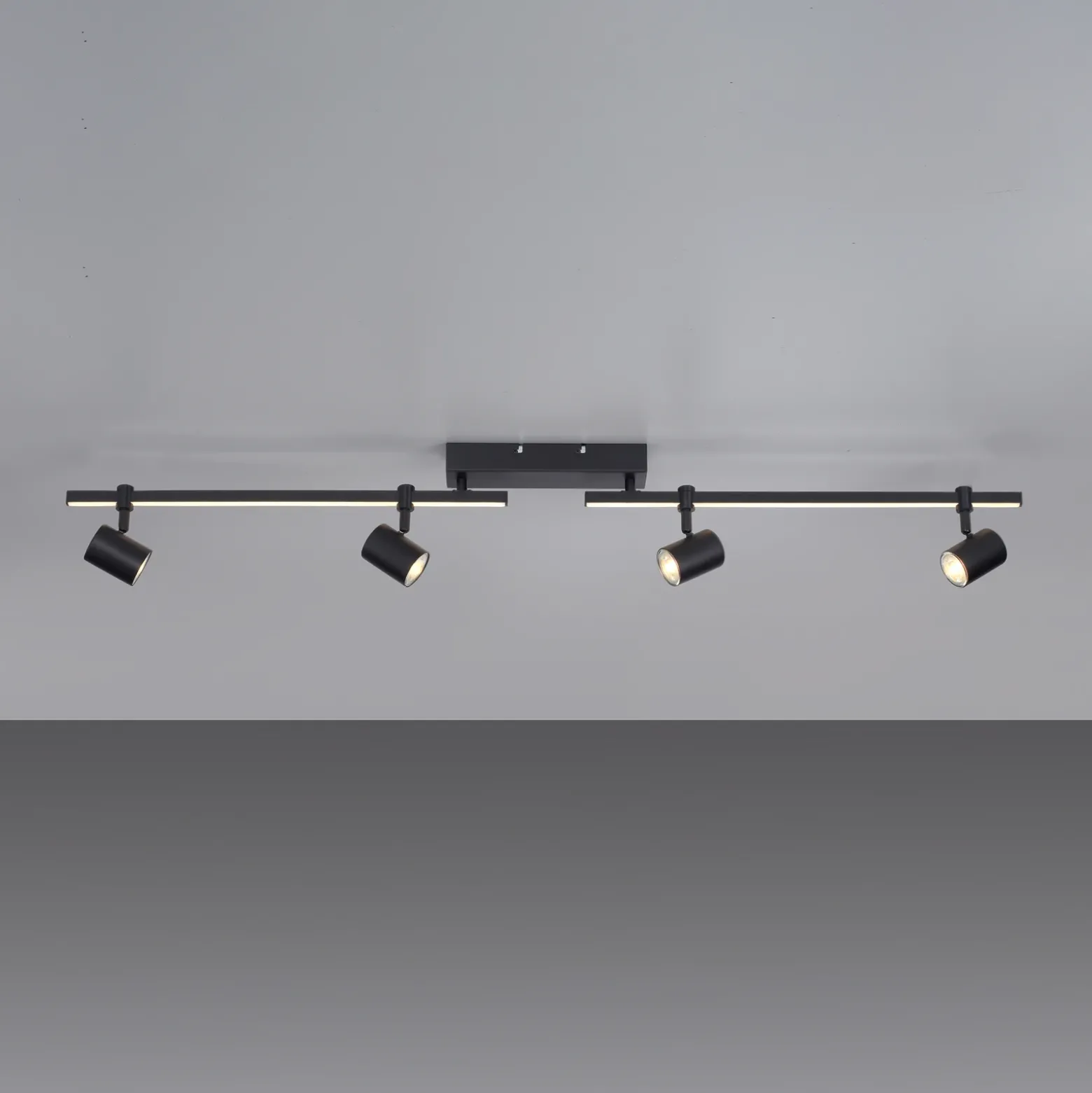 Paul Neuhaus Downlight LED Barik, 120 cm, regulable