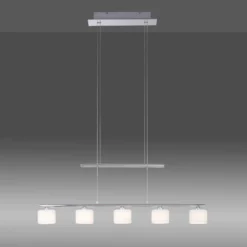 Paul Neuhaus lámpara colgante LED Hydra, color acero, cristal, 80cm