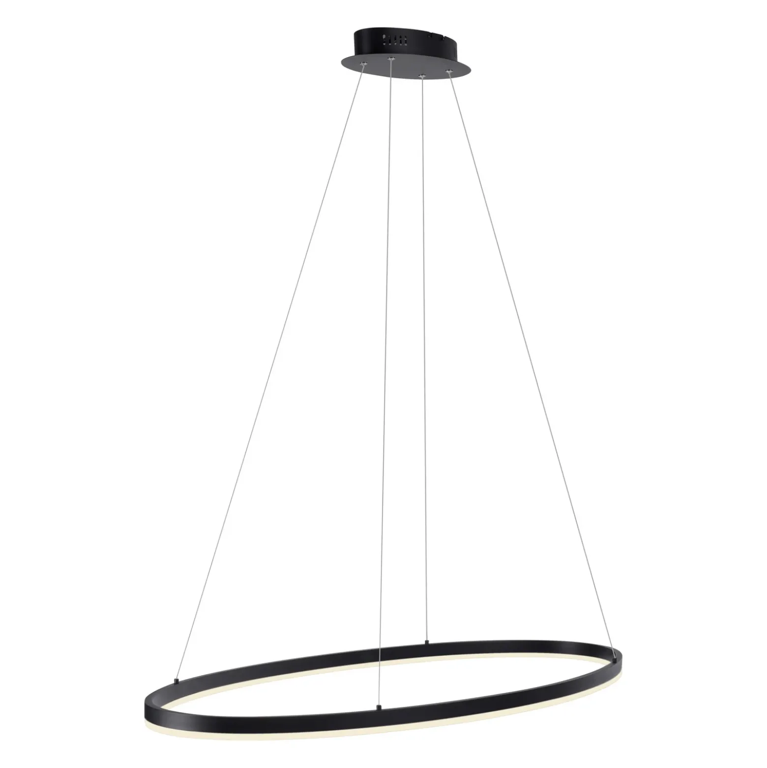 Paul Neuhaus lámpara colgante LED Titus, 118x56cm, CCT, atenuable