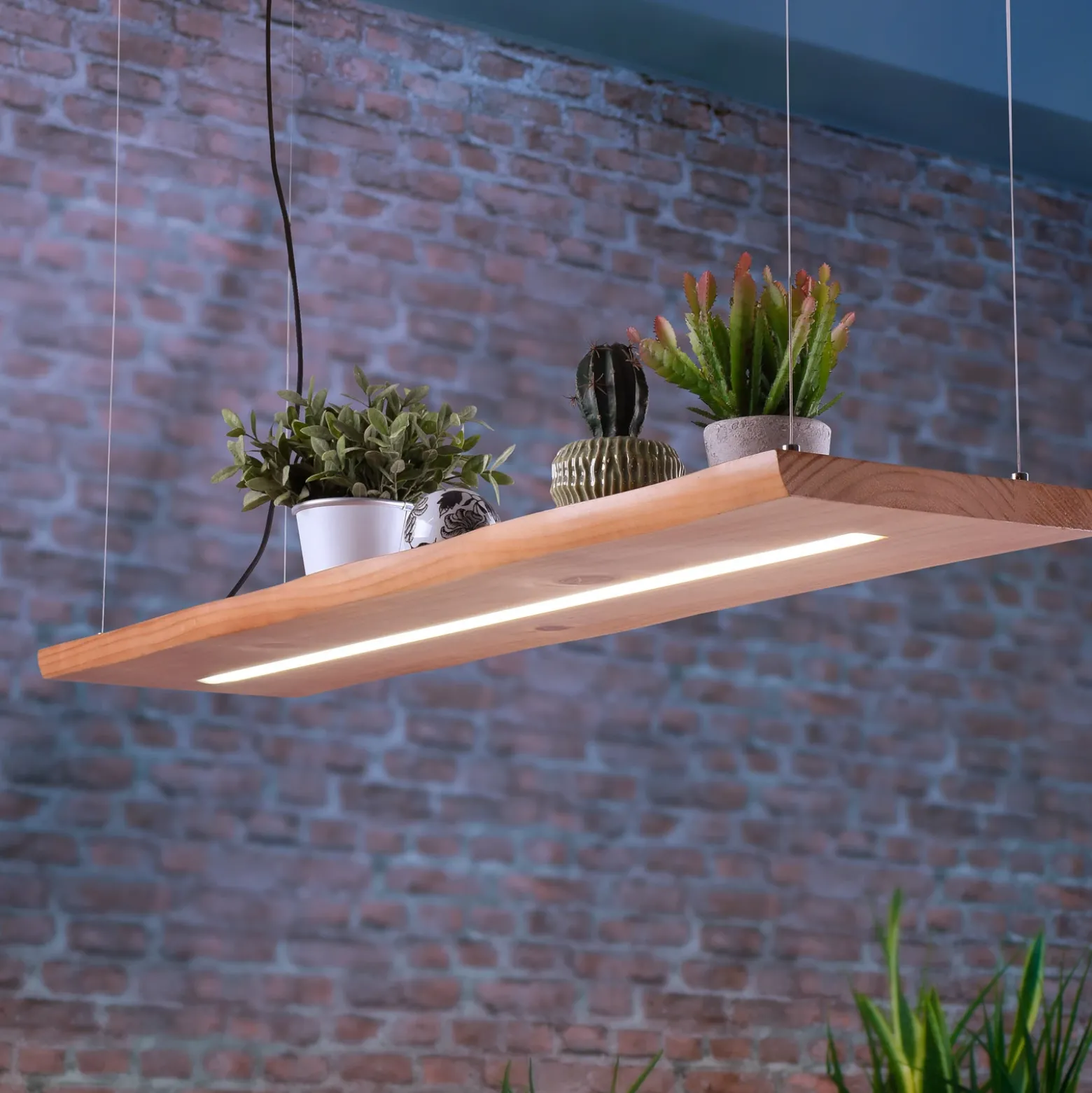 Paul Neuhaus lámpara colgante LED Palma, madera, CCT, atenuable, 120cm