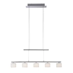 Paul Neuhaus lámpara colgante LED Hydra, color acero, cristal, 80cm