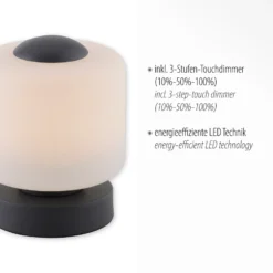 Paul Neuhaus Lámpara de mesa LED Bota, antracita, cristal, atenuable