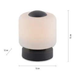 Paul Neuhaus Lámpara de mesa LED Bota, antracita, cristal, atenuable