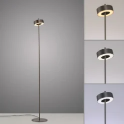 Paul Neuhaus Lámpara de pie LED inteligente Q-Rotate marrón oscuro 140 cm