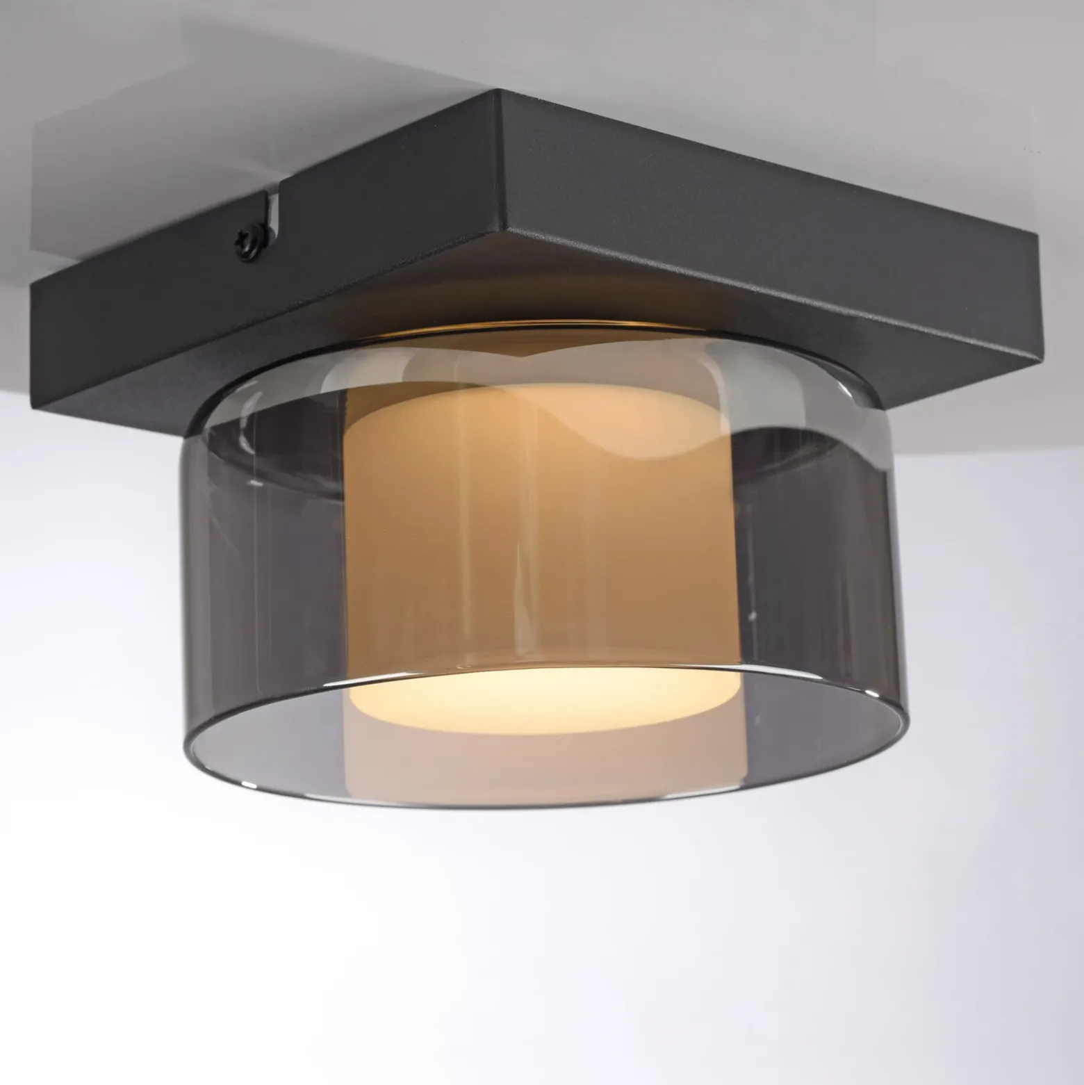 Paul Neuhaus Lámpara LED de techo Rika, Ø 15 cm, cristal, atenuable