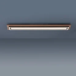 Paul Neuhaus Palma plafón LED CCT alargado