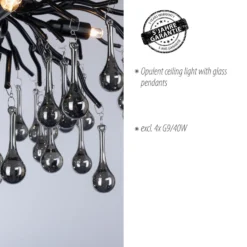 Paul Neuhaus plafón Icicle, 4 luces, negro