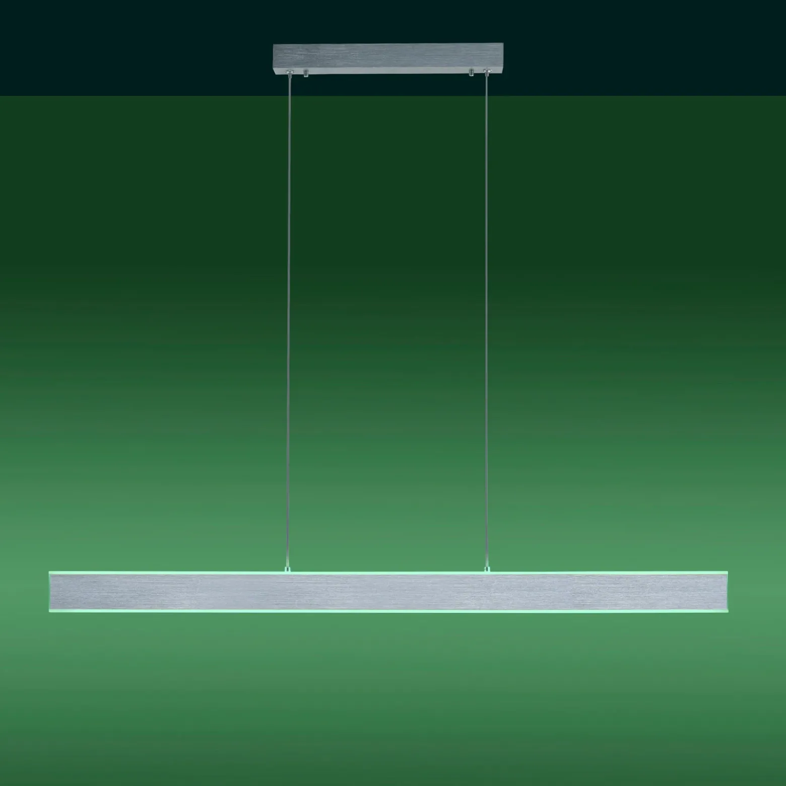 Paul Neuhaus Q-Adriana colgante LED up/down
