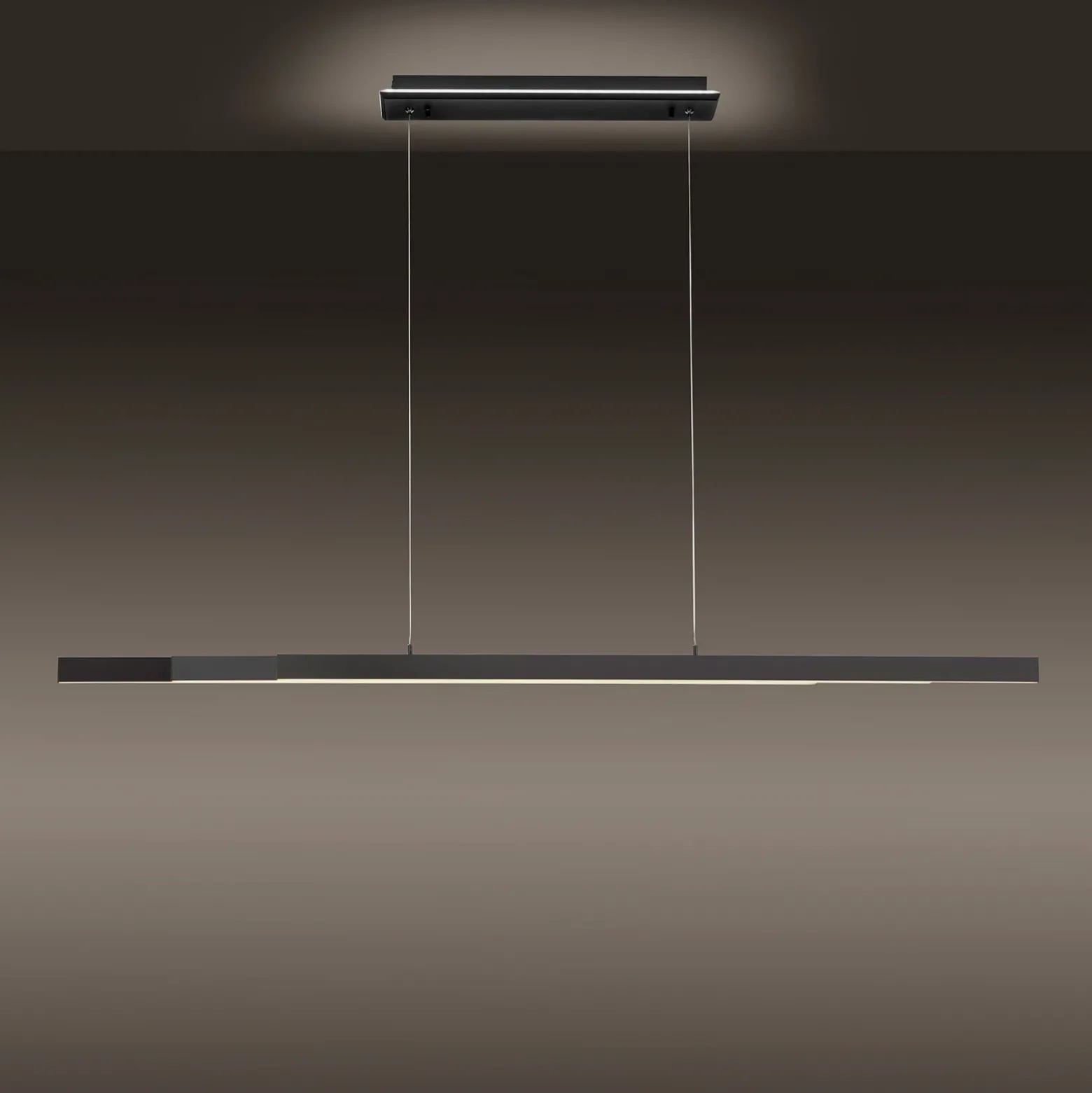 Paul Neuhaus Q-ARIAN colgante LED, antracita
