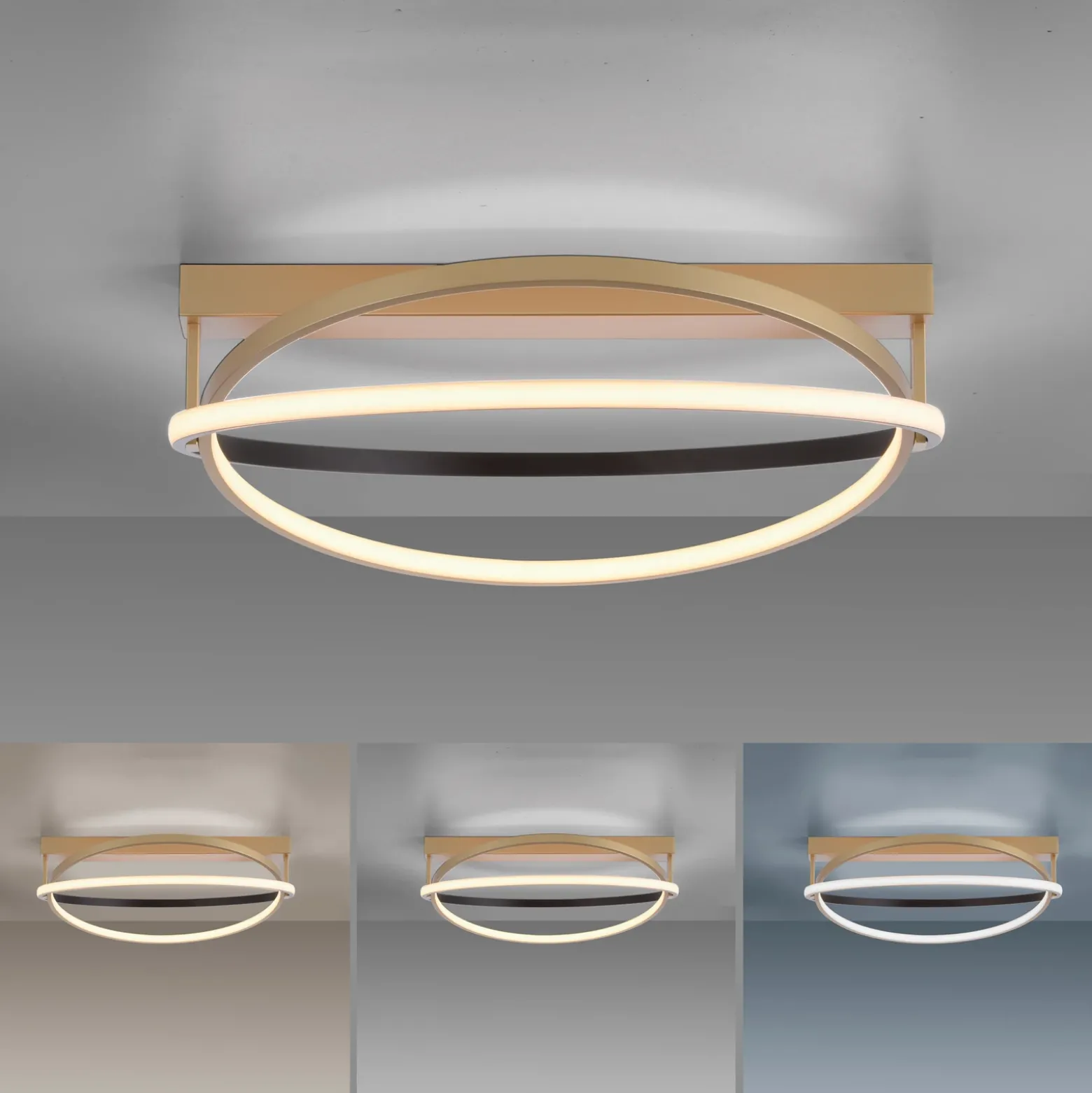 Paul Neuhaus Q-Beluga plafón LED, latón