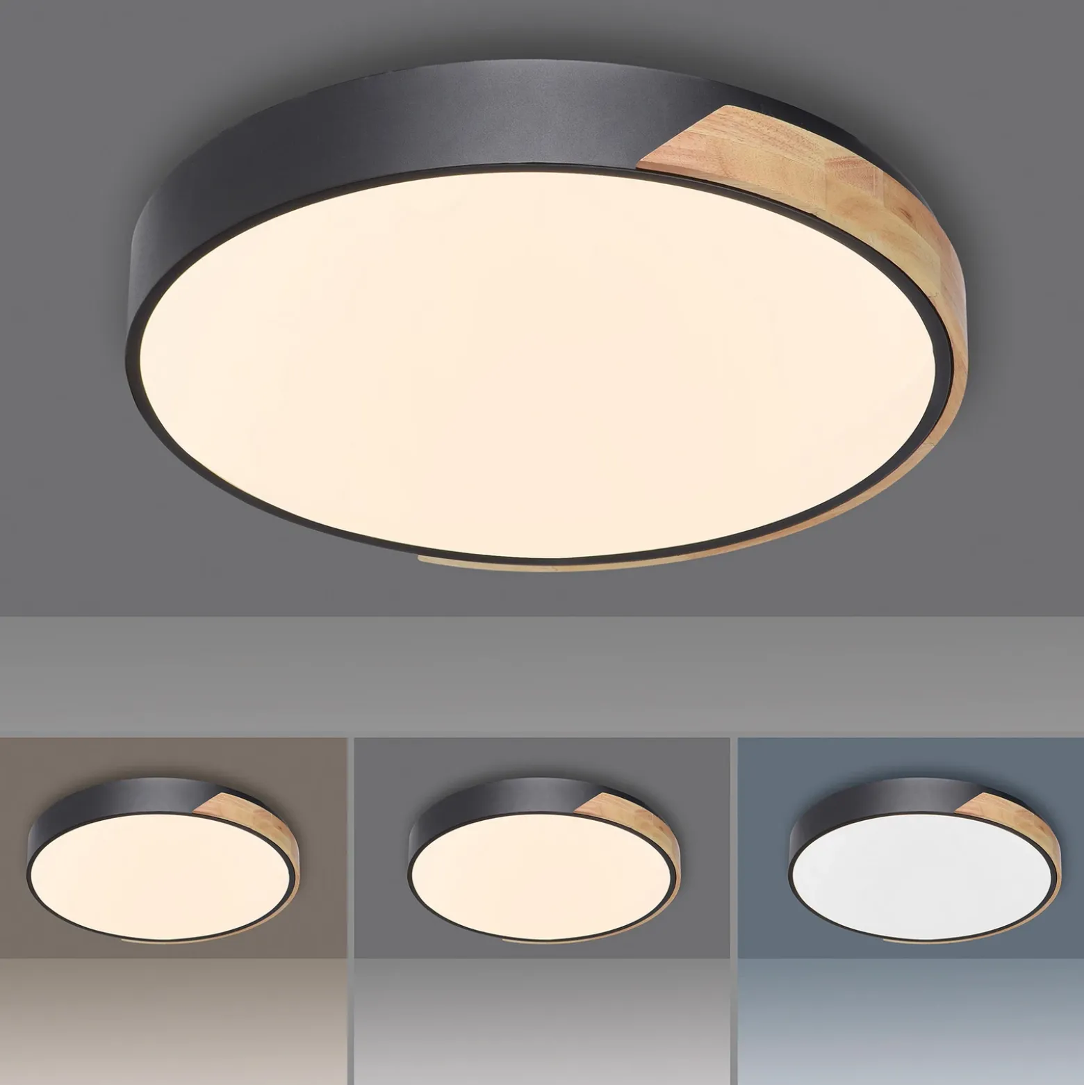 Paul Neuhaus Q-BILA plafón LED, negro/roble