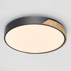 Paul Neuhaus Q-BILA plafón LED, negro/roble