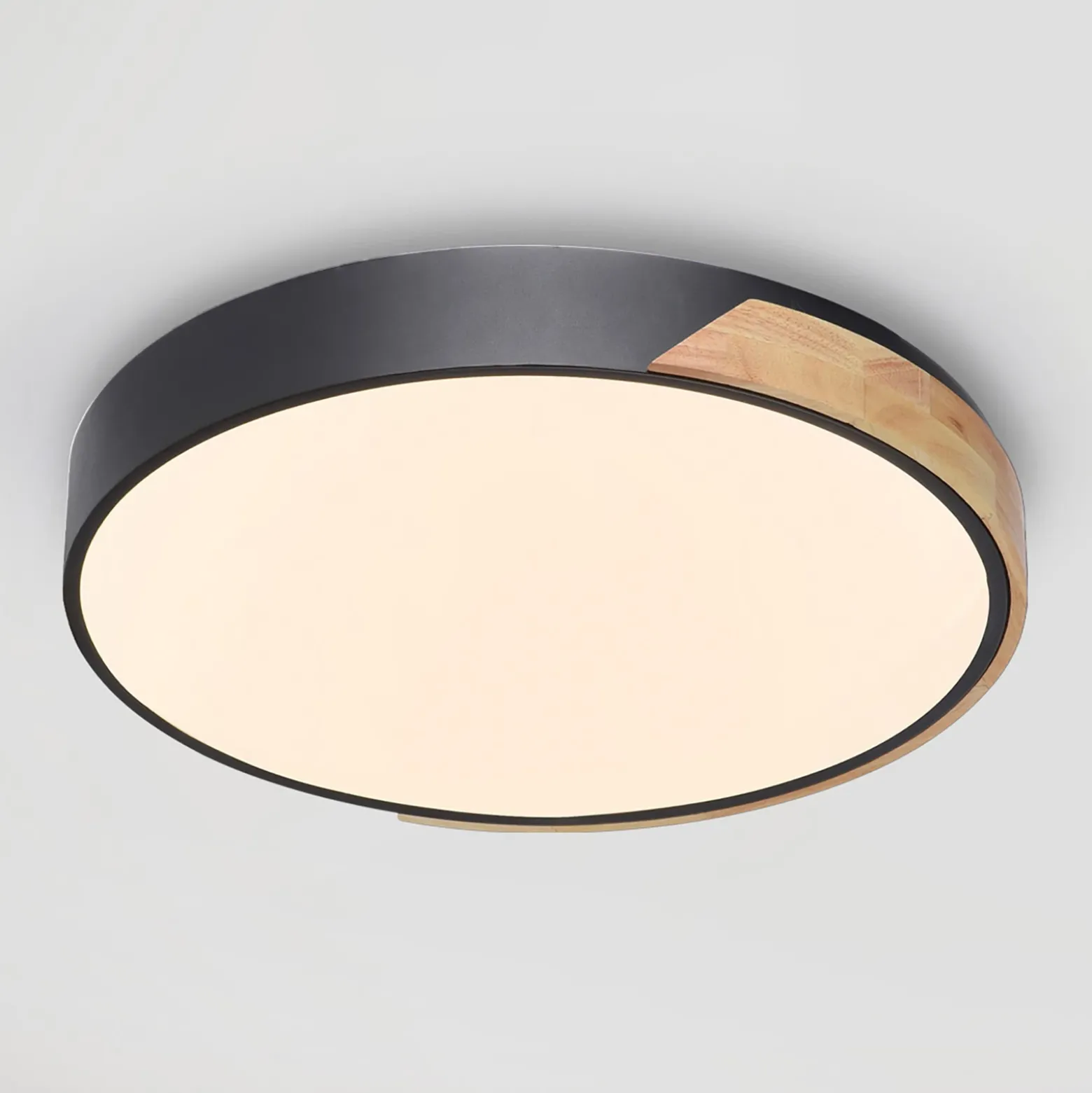 Paul Neuhaus Q-BILA plafón LED, negro/roble