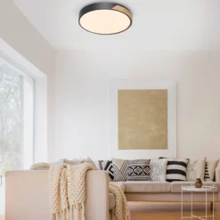 Paul Neuhaus Q-BILA plafón LED, negro/roble