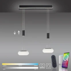 Paul Neuhaus Q-ETIENNE colgante LED 2 luces, negro