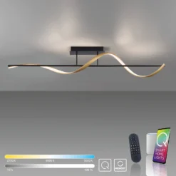 Paul Neuhaus Q-Swing plafón antracita/latón