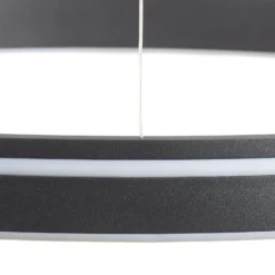 Paul Neuhaus Q-VITO colgante LED 59cm antracita