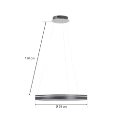 Paul Neuhaus Q-VITO colgante LED 59cm antracita